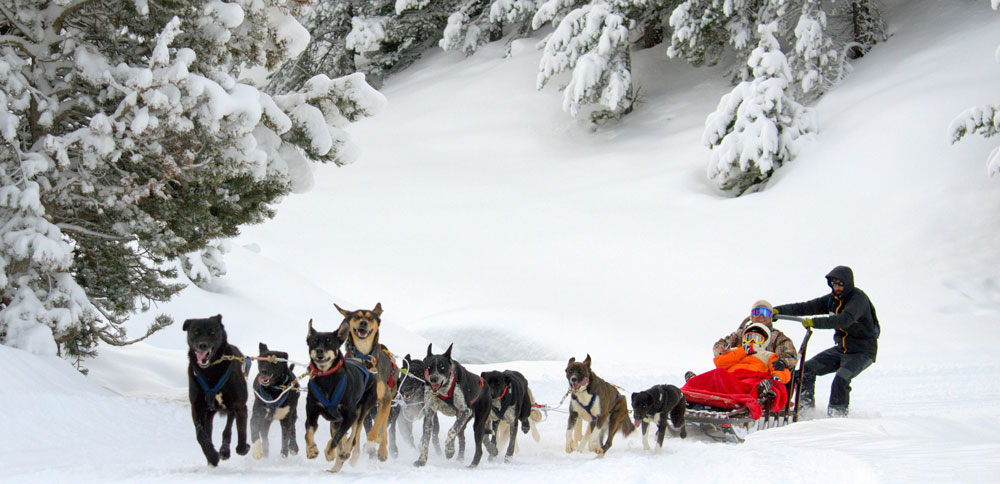 Home - Montgarri Outdoor  Motos de nieve, trineos de perros