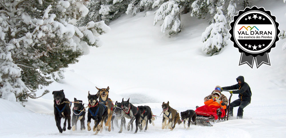 Perros de trineo en Val Thorens : Aventura invernal