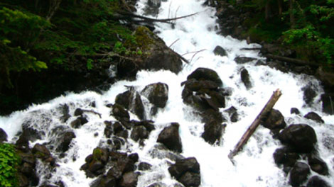 33-uhels