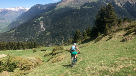 pomarola-trail