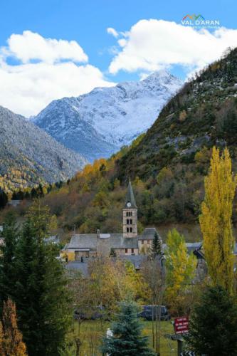 ARTIES @val d'aran photos