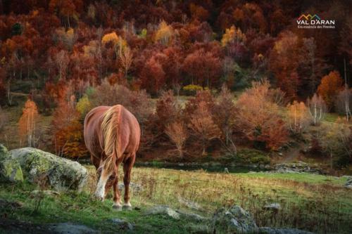 OTOÑO @val d'aran photos