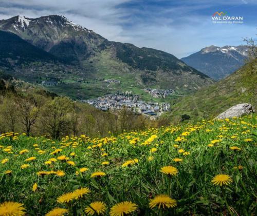 PRIMAVERA @val d'aran photos