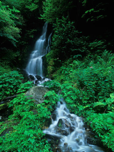 VAL DE TORAN - FOTO RAFAEL LÓPEZ MONNÉ